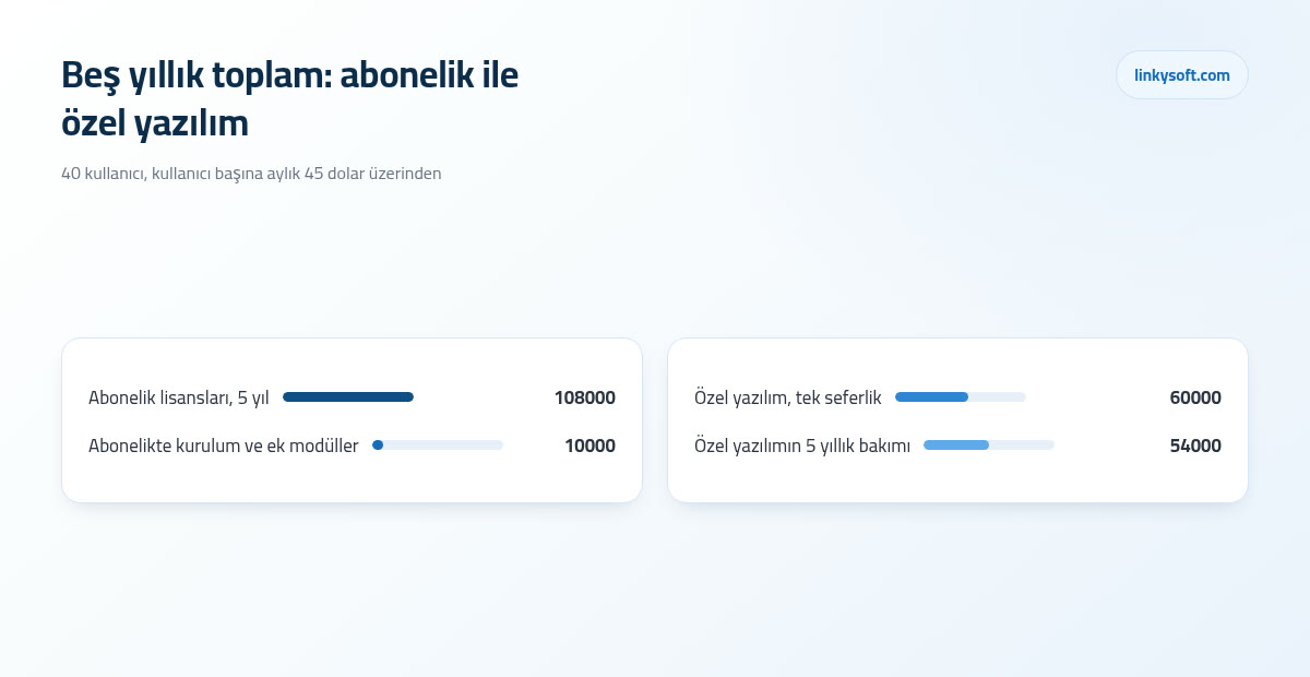 Beş yıllık toplam: abonelik ile özel yazılım