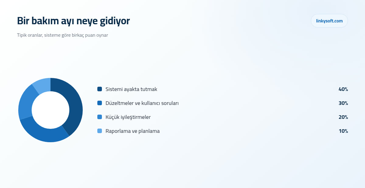 Bir bakım ayı neye gidiyor