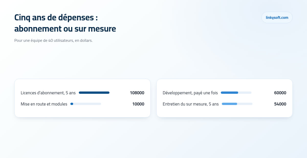 Cinq ans de dépenses : abonnement ou sur mesure