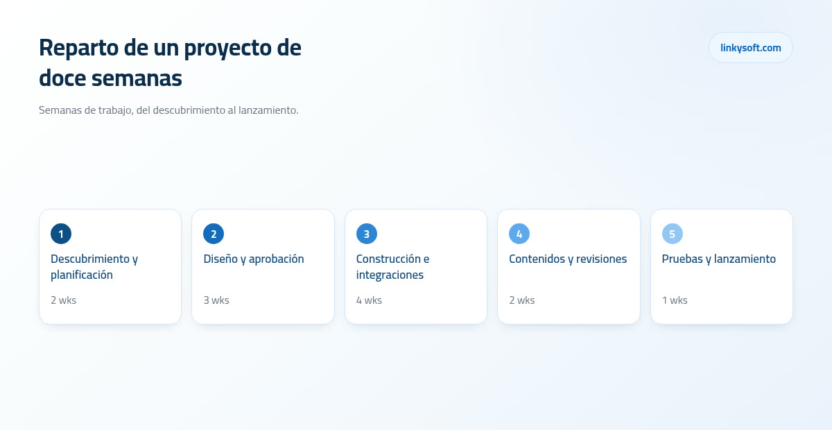 Reparto de un proyecto de doce semanas