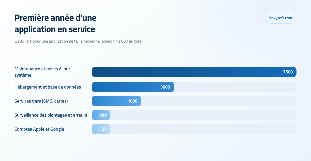Première année d'une application en service