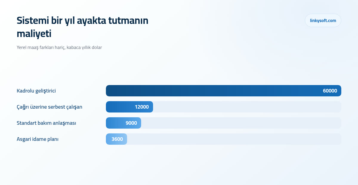 Sistemi bir yıl ayakta tutmanın maliyeti