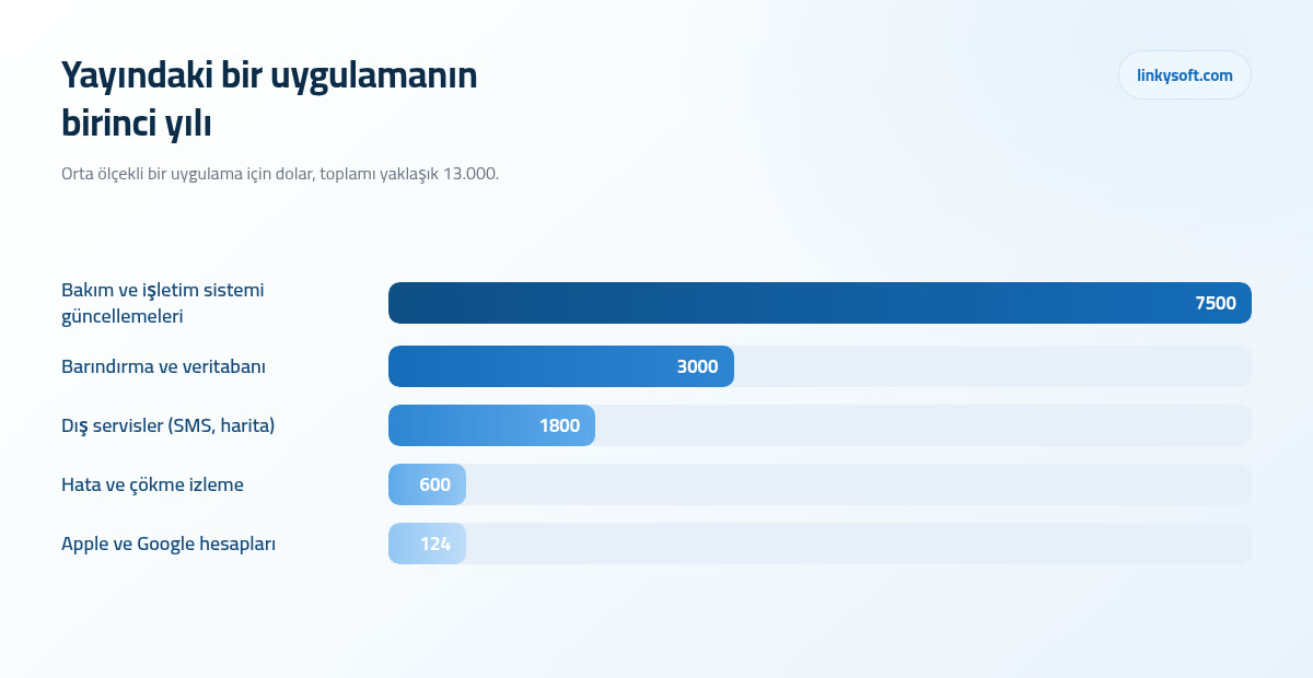 Yayındaki bir uygulamanın birinci yılı