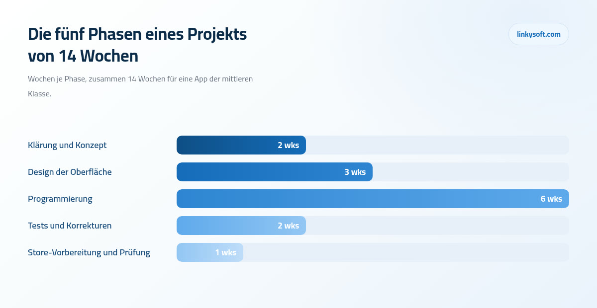 Die fünf Phasen eines Projekts von 14 Wochen