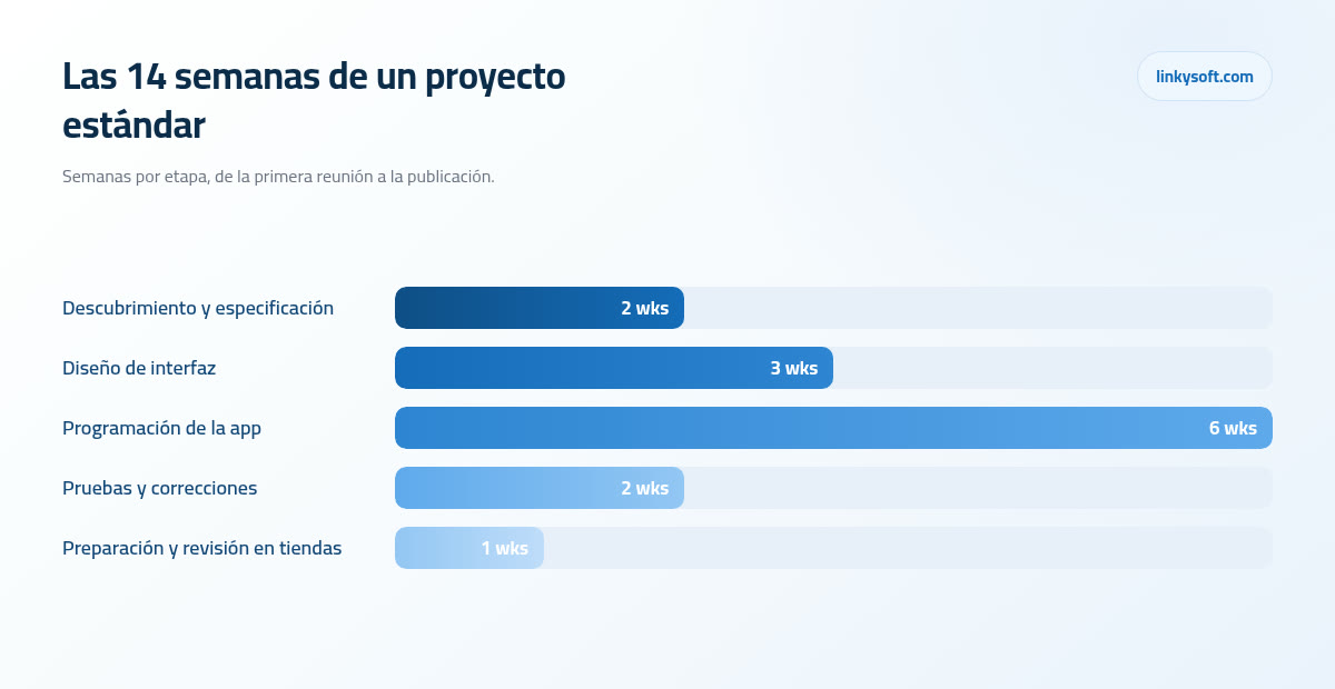 Las 14 semanas de un proyecto estándar
